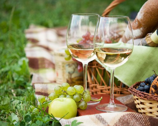 Two glasses of the white wine, picnic theme